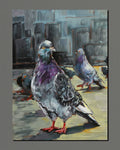 Observations of a pigeon (art print)